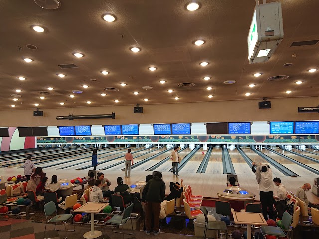 Hitachi BowlCrane