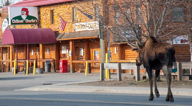 Chilkoot Charlie's (Koot's)