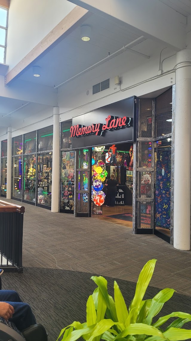 Memory Lane Arcade (Salem Center Mall)
