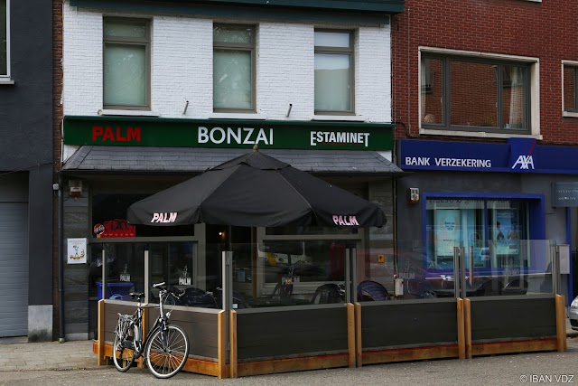 Den Bonzai