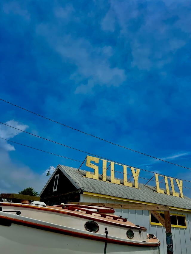 Silly Lily