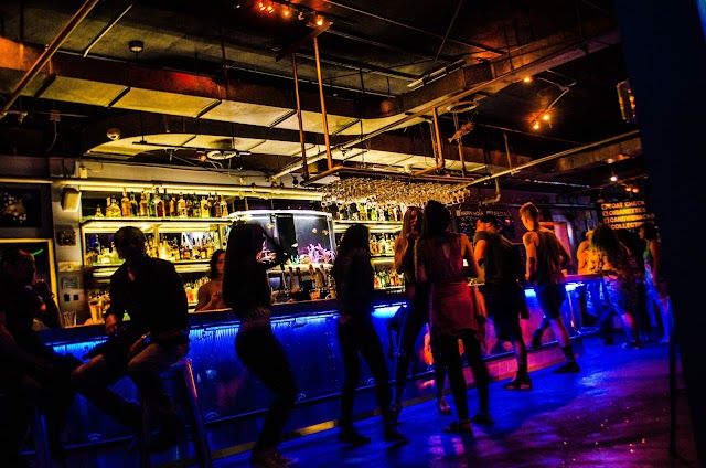 Cowfish Danceclub & Cafe