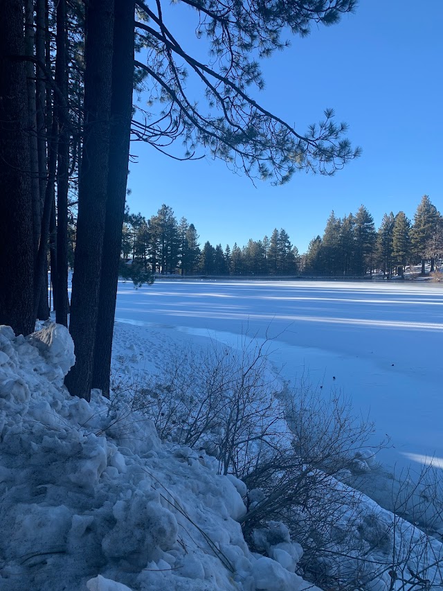 BaseCamp GVL Cabins