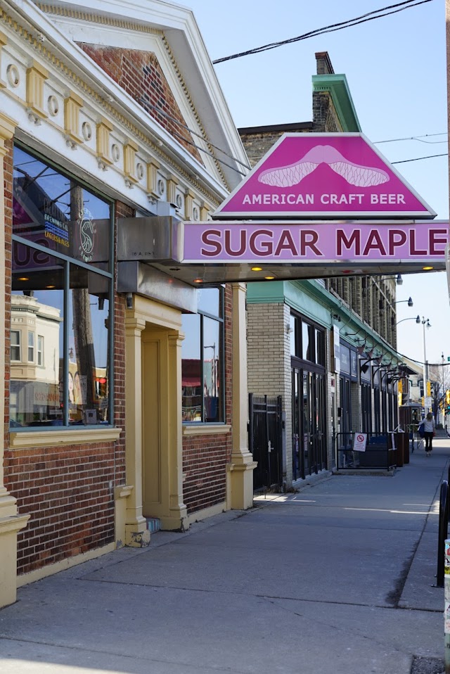 The Sugar Maple