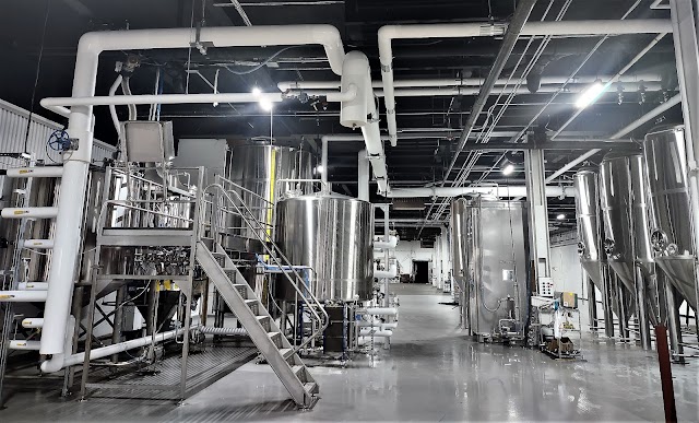 Velum Fermentation