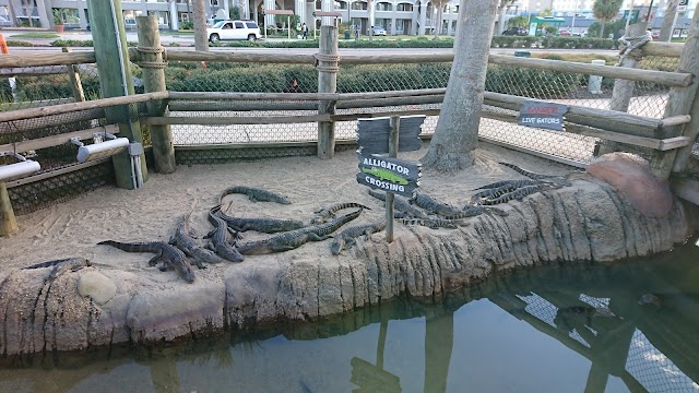 Congo River Golf