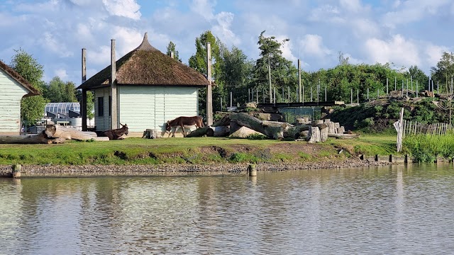 Center Parcs De Huttenheugte