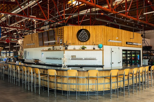 Cerebral Brewing - Aurora Arts