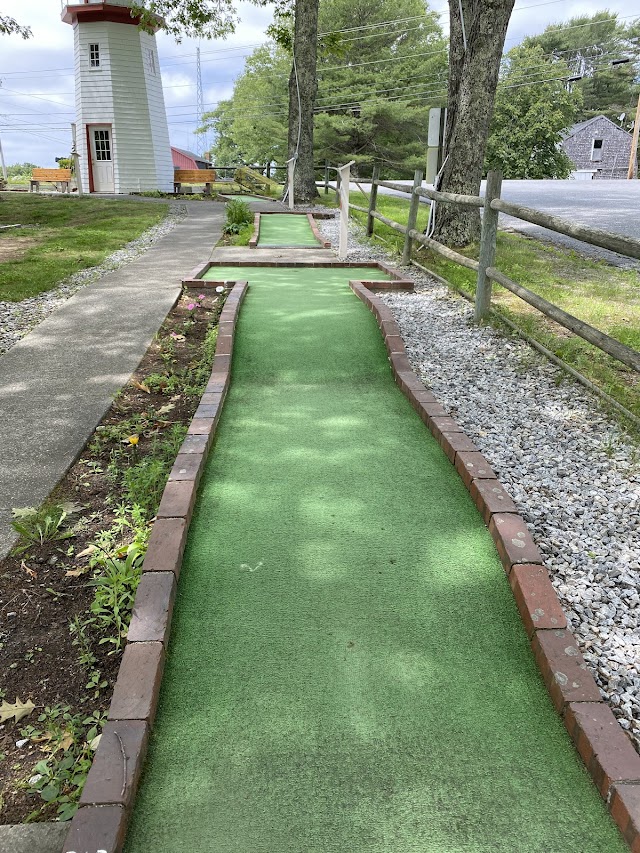 Dolphin Mini Golf