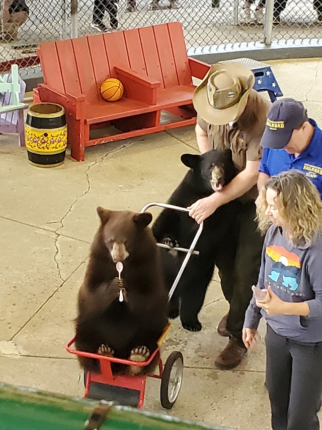 Clark's Bears
