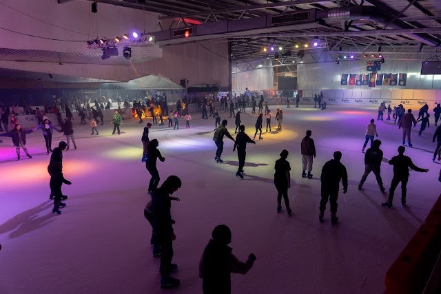 The Ice ArenA