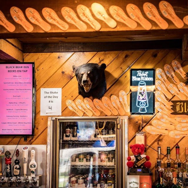 Black Bear