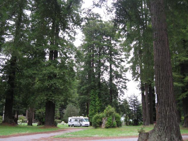 Loyal Order of Moose, Eureka Lodge 636