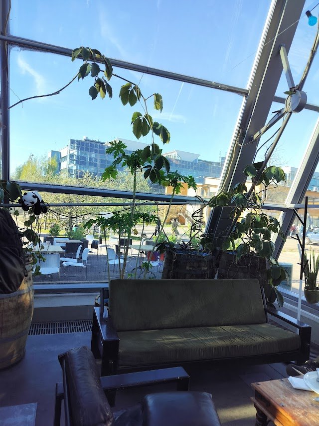 CoolHead Brew / CoolHead Taproom