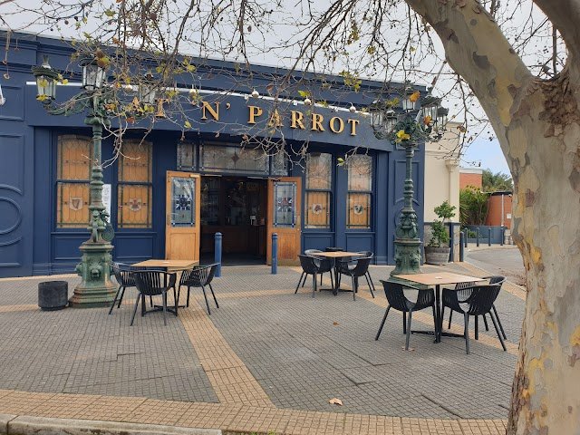 The Rat & Parrot Bar