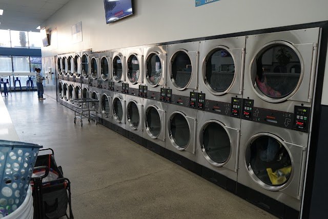 Alligator Laundromat