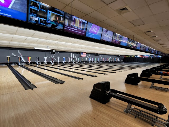 Harmony Bowl