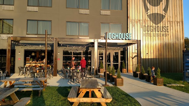 BrewDog DogTap