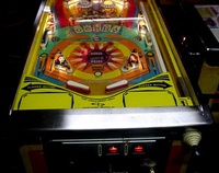 Image # 25605: Gin Illuminated Lower Playfield