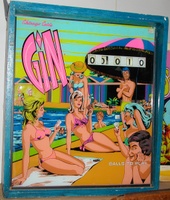 Image # 30626: Gin Backglass