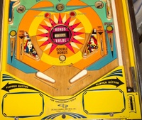 Image # 22126: Gin Lower Playfield