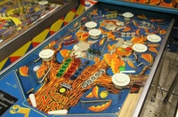 Image # 65140: Goin' Nuts Playfield