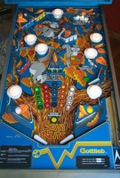 Image # 6333: Goin' Nuts Playfield