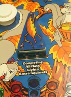 Image # 65150: Goin' Nuts Playfield - Detail