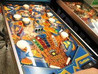 Image # 65139: Goin' Nuts Playfield
