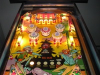 Image # 42053: Gold Rush Illuminated Playfield