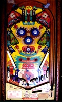 Image # 7649: Golden Gloves Playfield