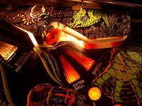 Image # 21073: Grand Lizard Playfield - Detail