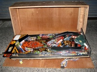 Image # 45307: Grand Lizard Playfield 
(This is a New Old Stock playfield in its crate from the manufacturer.)