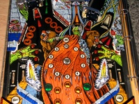 Image # 45309: Grand Lizard Middle Playfield 
(This is a New Old Stock playfield in its crate from the manufacturer.)