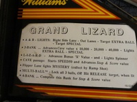 Image # 50913: Grand Lizard Instruction Card
