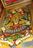 Image # 1074: Gusher Playfield