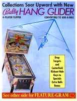 Image # 3754: Hang Glider Flyer, Front