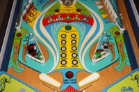 Image # 40126: Hang Glider Lower Playfield 
(Serial number 3323.)