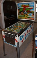 Image # 40131: Hang Glider Cabinet - Full View 
(Serial number 3323.)