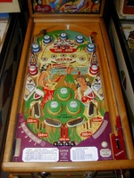 Image # 19348: Hawaiian Beauty Playfield