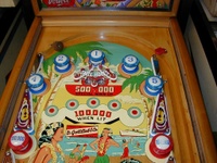 Image # 19349: Hawaiian Beauty Upper Playfield