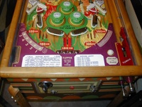 Image # 19351: Hawaiian Beauty Lower Playfield