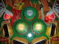 Image # 23162: Hawaiian Beauty Lower Playfield, Lit