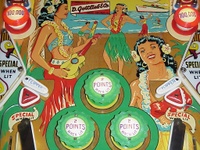 Image # 23163: Hawaiian Beauty Lower Playfield