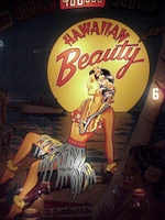 Image # 23164: Hawaiian Beauty Backglass Detail