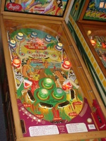 Image # 23165: Hawaiian Beauty Playfield
