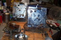 Image # 36064: Hawaiian Beauty Stepper Units In BackBox