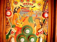 Image # 15812: Hawaiian Beauty Middle Playfield