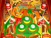 Image # 15813: Hawaiian Beauty Middle Playfield