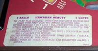 Image # 36068: Hawaiian Beauty Instruction Card